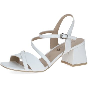 Caprice Sandalen  -