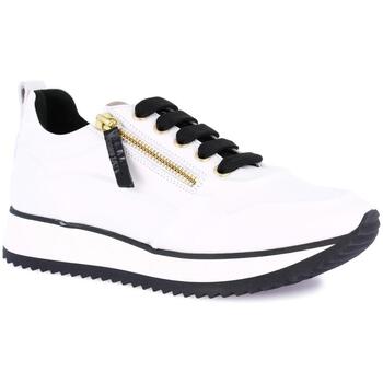 Grunland Lage Sneakers  DSG-SC2168