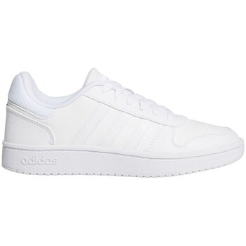 Adidas Lage Sneakers  Hoops 20 K