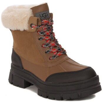 Ugg Snowboots  Ashton Addie