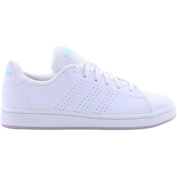 Adidas Lage Sneakers  Advantage Base