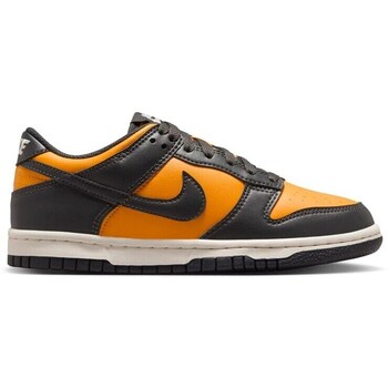 Nike Lage Sneakers  Dunk Low