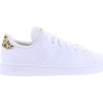 Adidas Lage Sneakers  Advantage Base