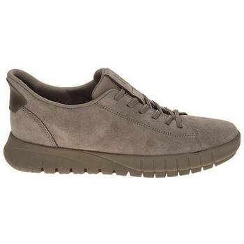 Geox Lage Sneakers  SNEAKERS FLEXTRIDE PLUS