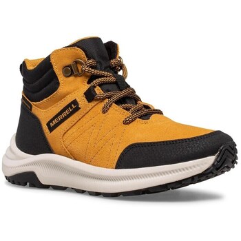 Merrell Laarzen  Greylock