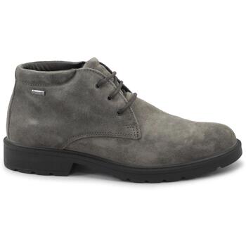IGI&Co Laarzen IgI&CO IGI-I25-8602533-FA