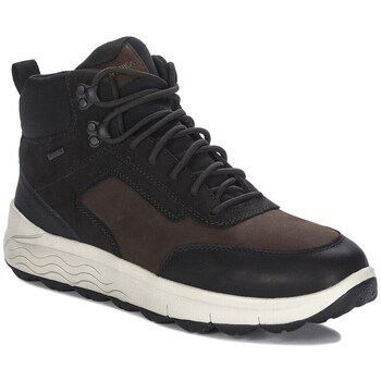 Geox Laarzen  U46FDB0FF22C6009