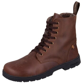 El Naturalista Laarzen  N5264C