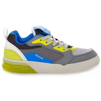 Geox Nette Schoenen  Grayjay