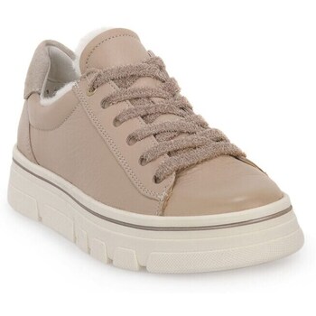 Ara Lage Sneakers  Cervo Calf