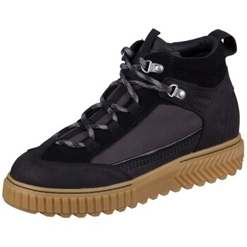 Sorel Hoge Sneakers  Ona Ave