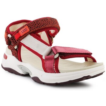 D.Franklin Sandalen  DFSH406003BURG