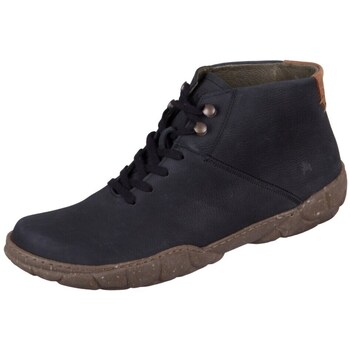 El Naturalista Laarzen  Turtle Black Black