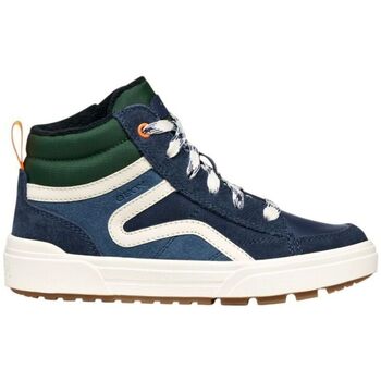 Geox Hoge Sneakers  Chaussures