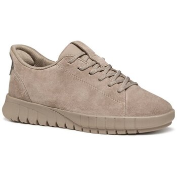 Geox Lage Sneakers  -