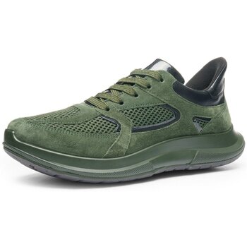 Ara Lage Sneakers  -