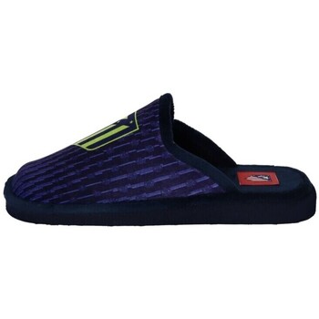 Andinas Pantoffels  -