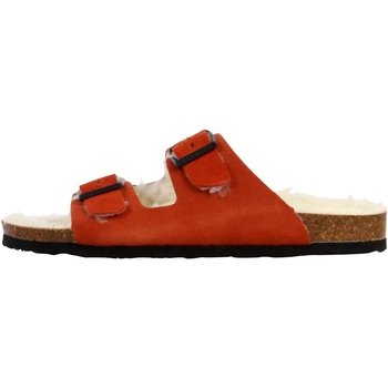 Plakton Slippers  269853