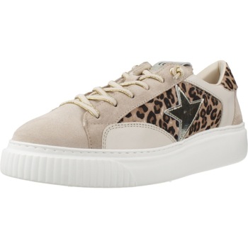 Cetti Lage Sneakers  C1342SRAXL V25