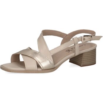 Caprice Sandalen  Sandalen