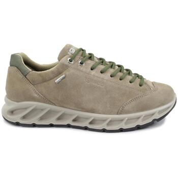 IGI&Co Lage Sneakers IgI&CO IGI-I25-8683922-FA