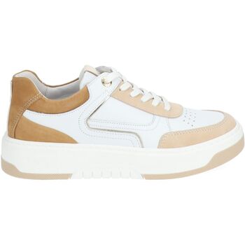 NeroGiardini Lage Sneakers  Sneaker