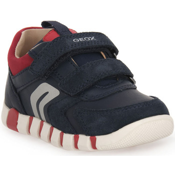 Geox Sneakers  C0735 IUPIDOO