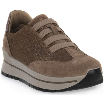 IGI&Co Sneakers IgI&CO ANIKA FANGO