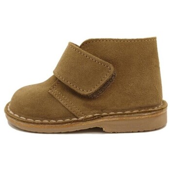 Colores Laarzen  18200 Arena