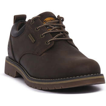 Dockers Laarzen  320 CAFE