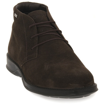 IGI&Co Laarzen IgI&CO TRAIL CAFFE GTX