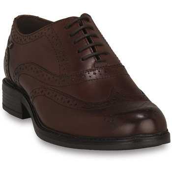 Valleverde Mocassins  MARRONE