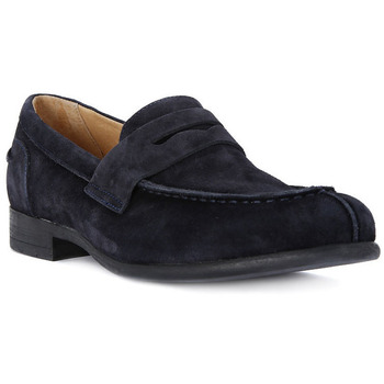 Frau Mocassins  SUEDE BLU