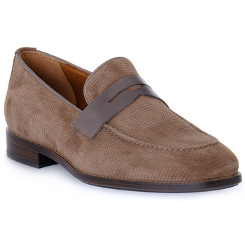 Frau Mocassins  HIVE NAPPA TORTORA