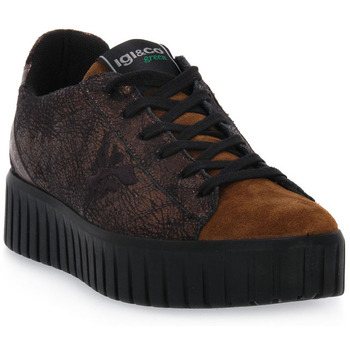 IGI&Co Lage Sneakers IgI&CO BRONZO ARES
