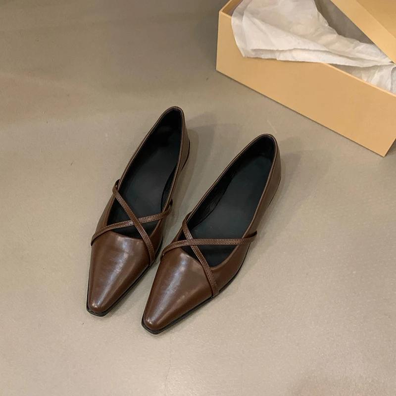 Wucifang Shoes Designer Dames Mary Jane Schoenen met Puntige Neus Mode Ondiepe Instappers Lente Herfst Dames Elegante Bruiloftsfeest Flats 35 bruin