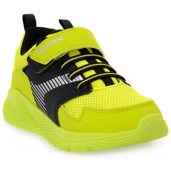 Geox Lage Sneakers  C3707 SPRINTYE