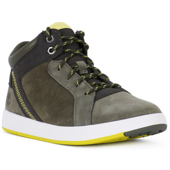 Timberland Hoge Sneakers  TREESPROUT