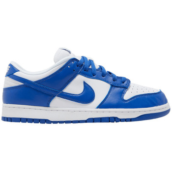 Nike Lage Sneakers  Dunk Low SP Kentucky