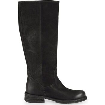 Felmini Laarzen  Laarzen