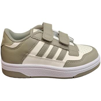 Adidas Lage Sneakers  rapid court