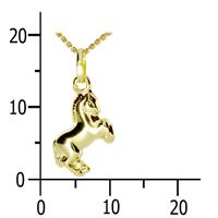 OSTSEE-SCHMUCK Kette mit Anhänger »Pferd Gold 333/000,« (2-tlg)