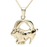 OSTSEE-SCHMUCK Kette mit Anhänger »Tierkreiszeichen Steinbock Gold 333/000,« (2-tlg)