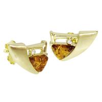 OSTSEE-SCHMUCK Paar Ohrstecker »Sigri Gold 333/000 Bernstein/Zirkonia« (2-tlg)