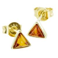 OSTSEE-SCHMUCK Paar Ohrstecker »Classic 5x5x5 mm Gold 333/000 Bernstein« (2-tlg)