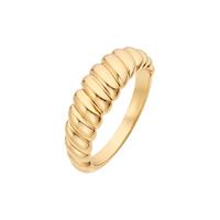Noelani Dames Ring in zilver, goud, voor Dames, 4056874024877, EAN: 2030088