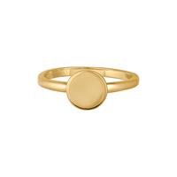 Caï Dames Ring in zilver, goud, voor Dames, 4006046335973, EAN: 274270164-056