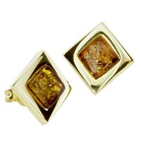 OSTSEE-SCHMUCK Paar Ohrstecker »- Vica - Gold 333/000 Bernstein« (2-tlg)