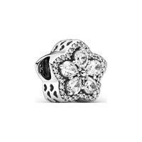 Pandora Charm Timeless 799224C01