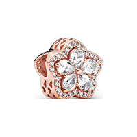 Pandora Charm Timeless 789224C01